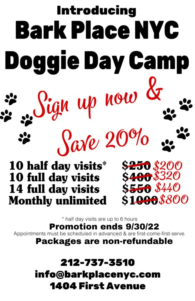 Buy doggie daycare package now & save with these introductory rates