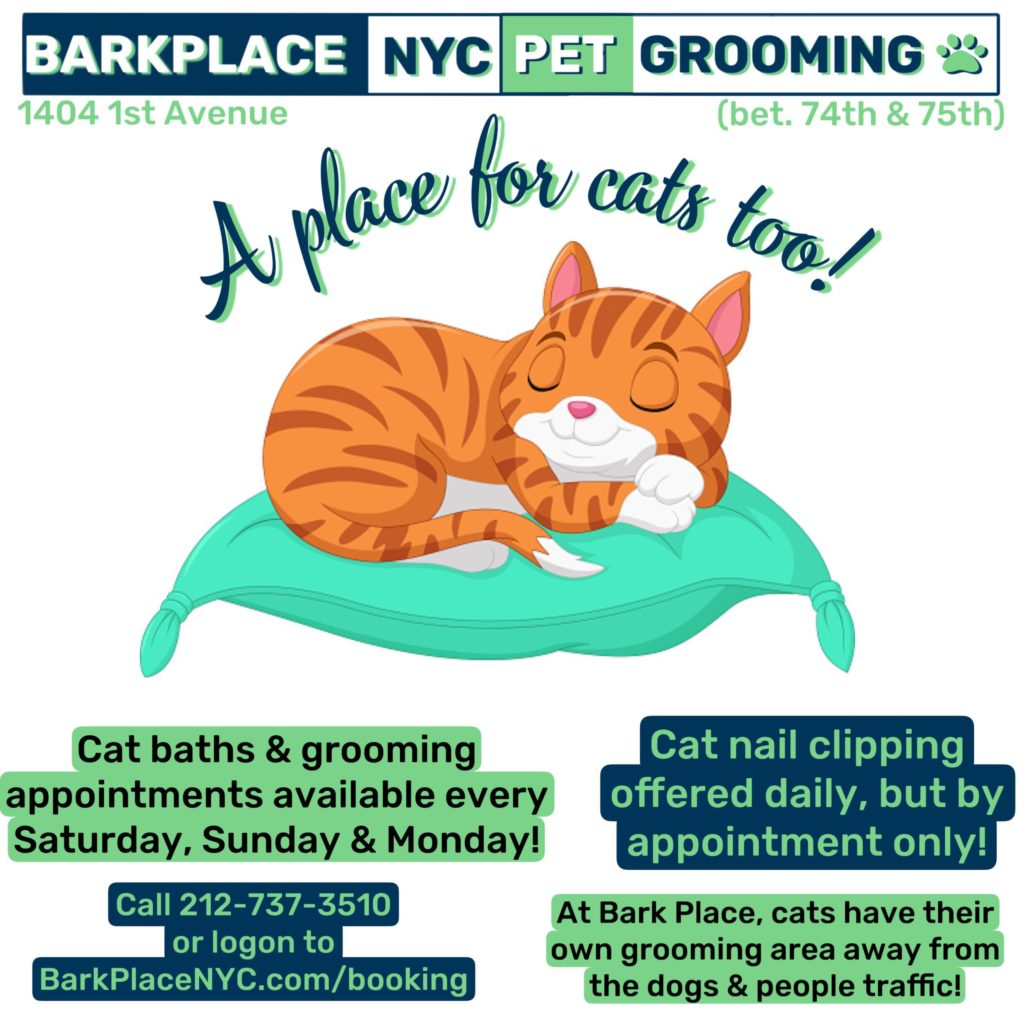 Bark Place: A place for cats too!