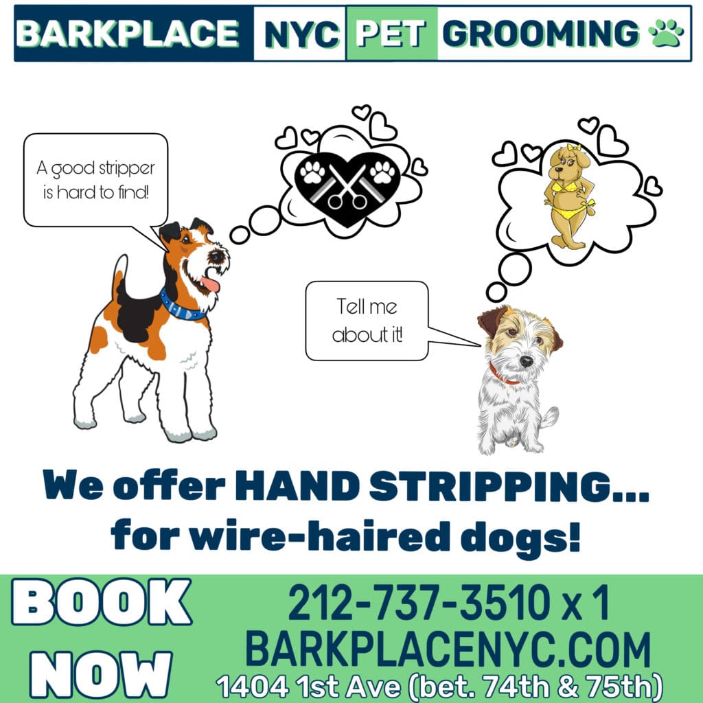 Hand Stripping is back at Bark Place NYC