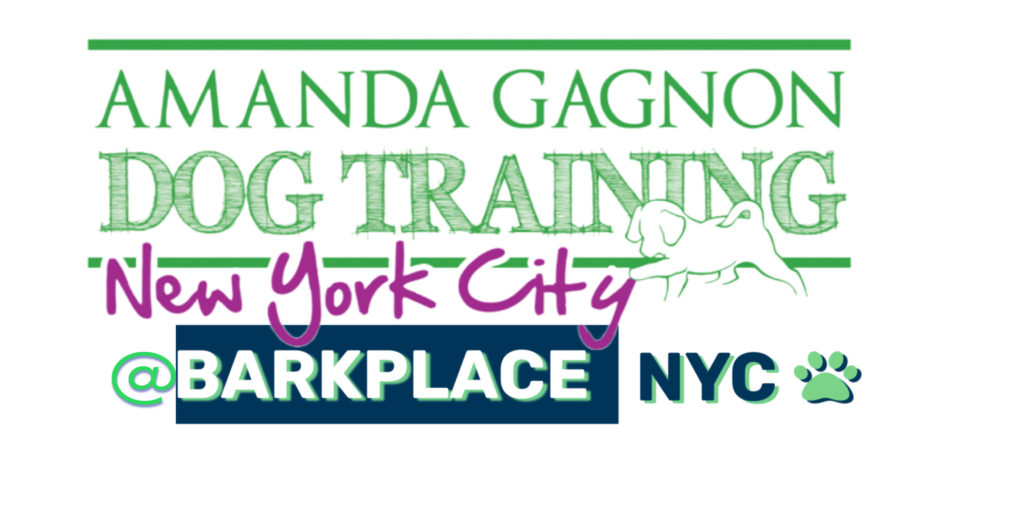 sign-up Now for Dog Training at Bark Place NYC