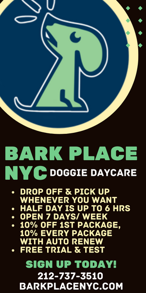 Why Doggie Daycare at Bark Place NYC?