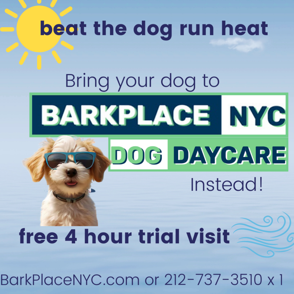 upper east side doggie daycare bark place nyc